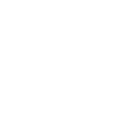 Partner-Amali