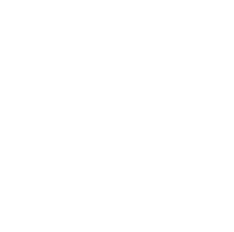 Partner-Mira-developments